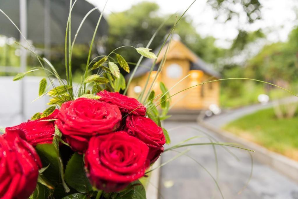 Chalet Vitaspa - Whirlpool & Sauna Privatspa Pegnitz Eksteriør billede